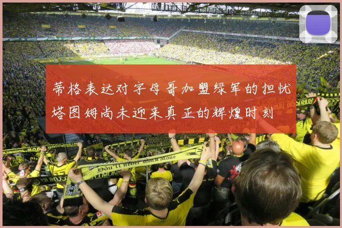 蒂格表达对字母哥加盟绿军的担忧塔图姆尚未迎来真正的辉煌时刻